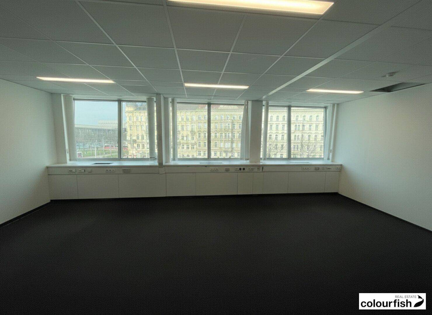 Geräumiges Büro mit Teppichboden und einer Reihe von Fenstern, die viel Tageslicht hereinlassen.
