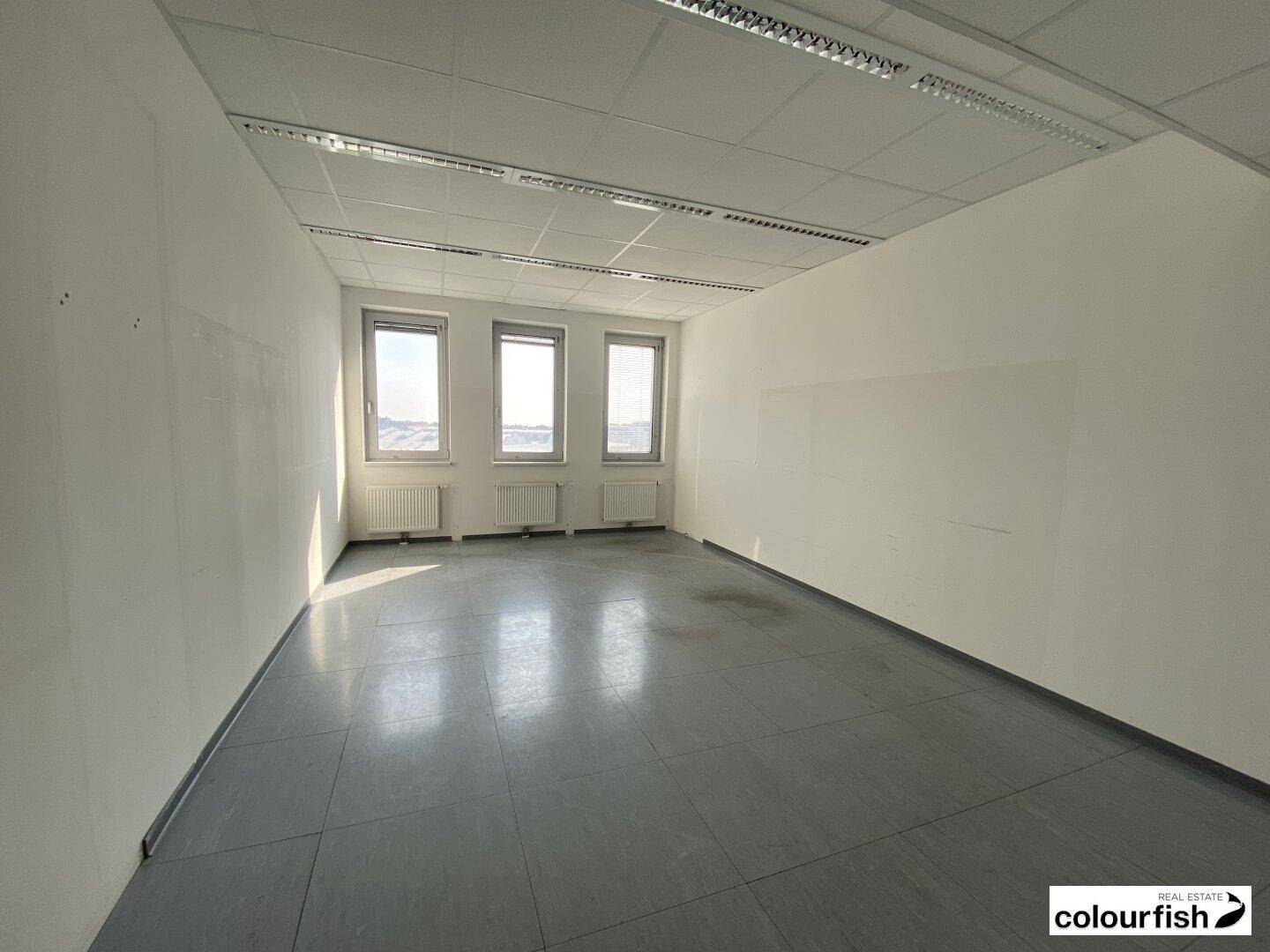 Großes, leeres Büro mit drei Fenstern, Heizkörpern und einem praktischen Deckenraster.