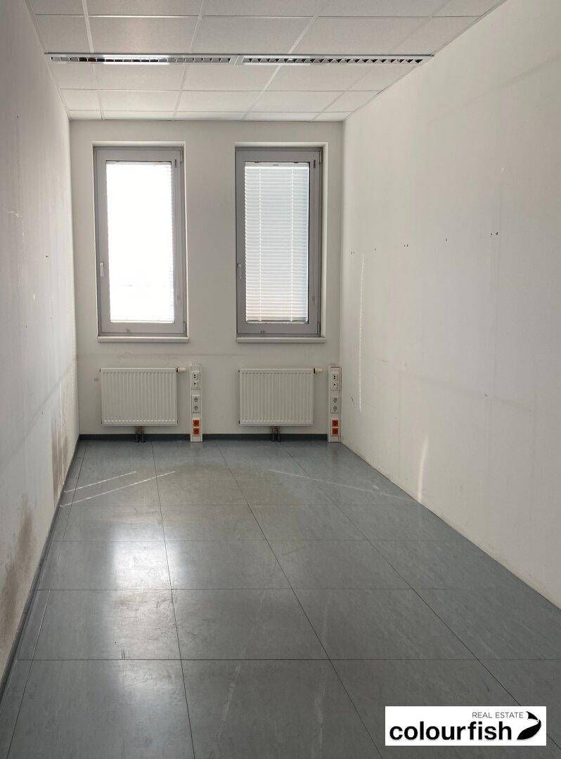 Leeres Büro mit zwei Fenstern, Heizkörpern und einem abgehängten Deckenraster.