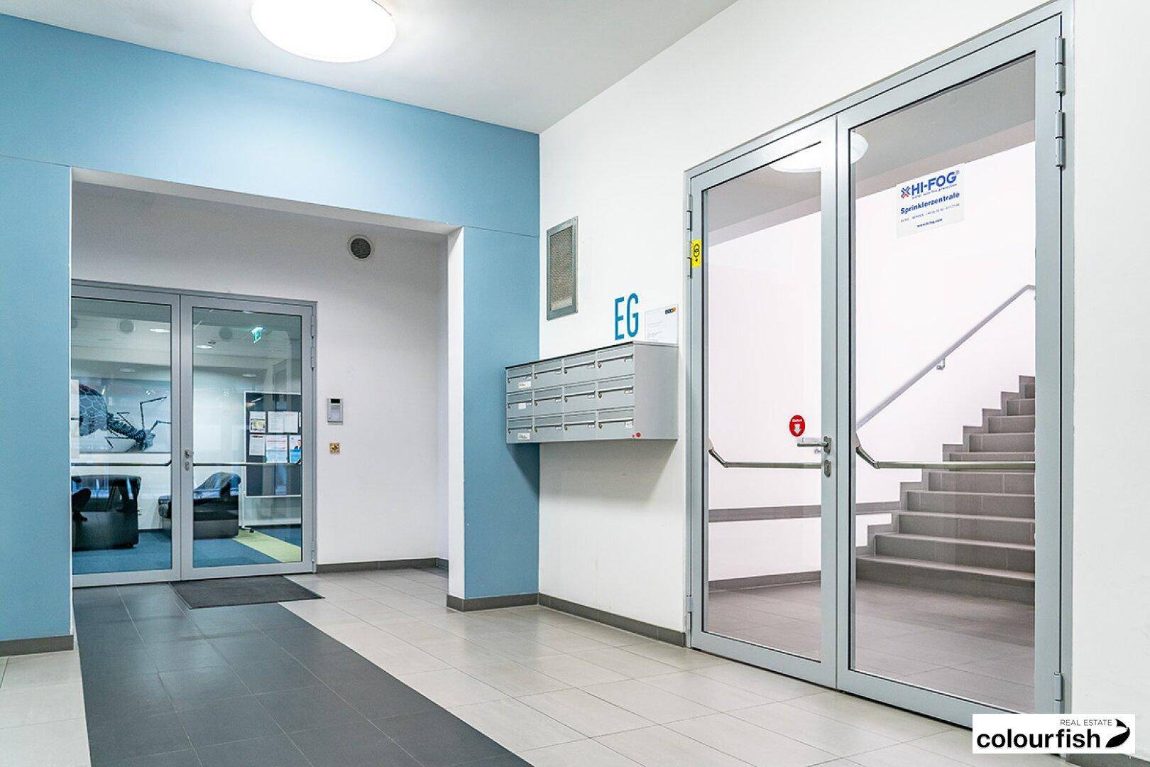 Heller Eingangsbereich mit blauen Akzentwänden, Briefkästen und Zugang zum Treppenhaus.