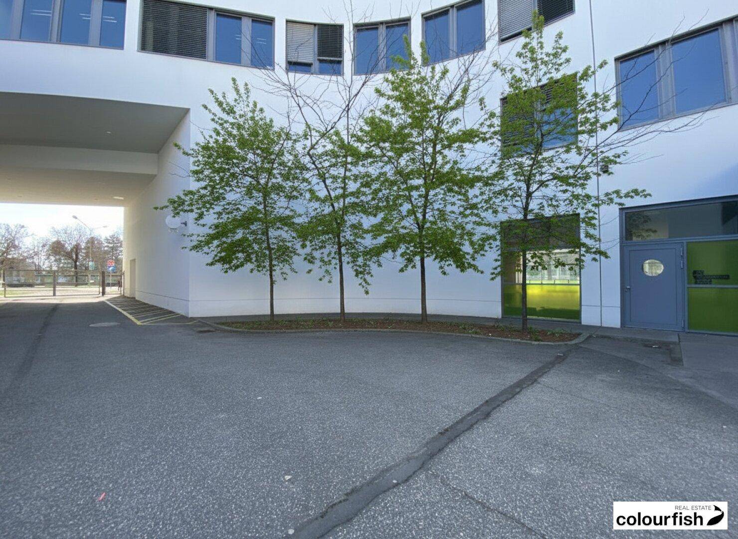 Außenbereich eines modernen Gebäudes mit Bäumen, einer Zufahrt und großen Fenstern im Erdgeschoss.