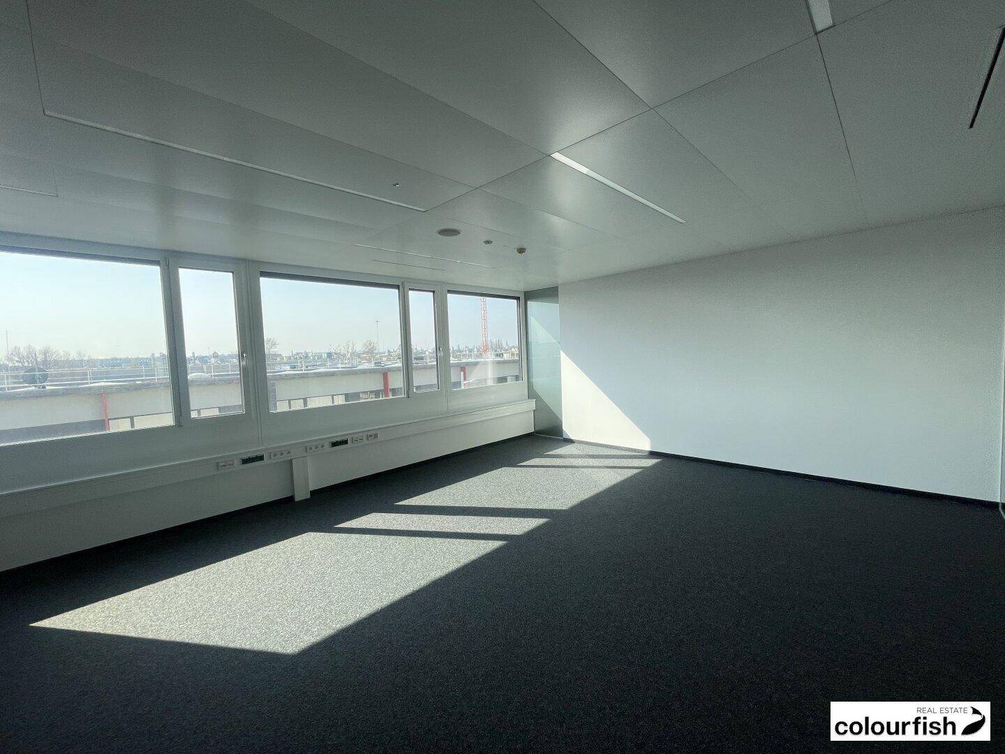 Modernes Terrassenbüro in der Seestadt - Ansicht 3