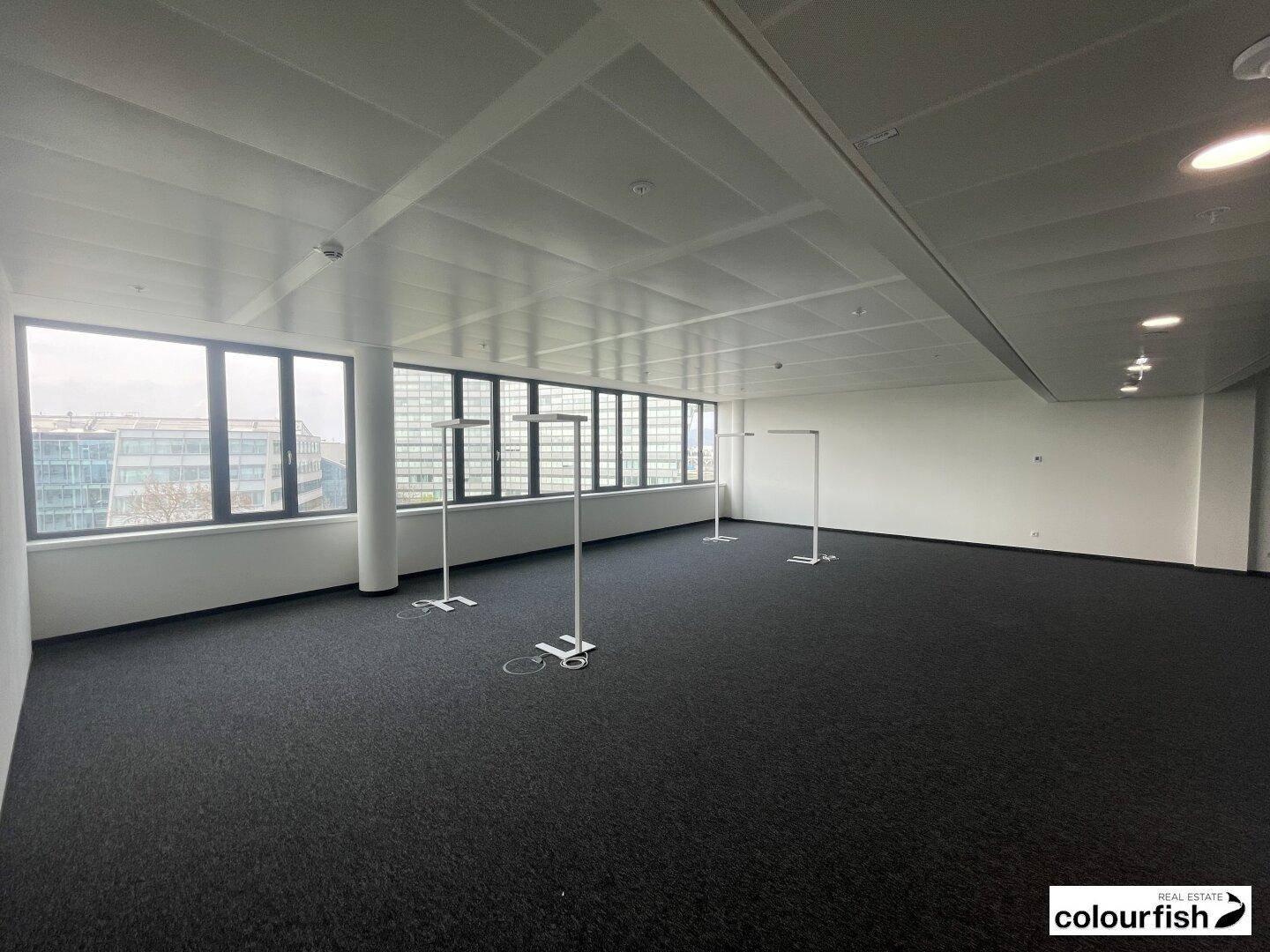 Geräumiges, leeres Büro mit Teppichboden und durchgehenden Fensterfronten, bietet flexible Gestaltungsmöglichkeiten.