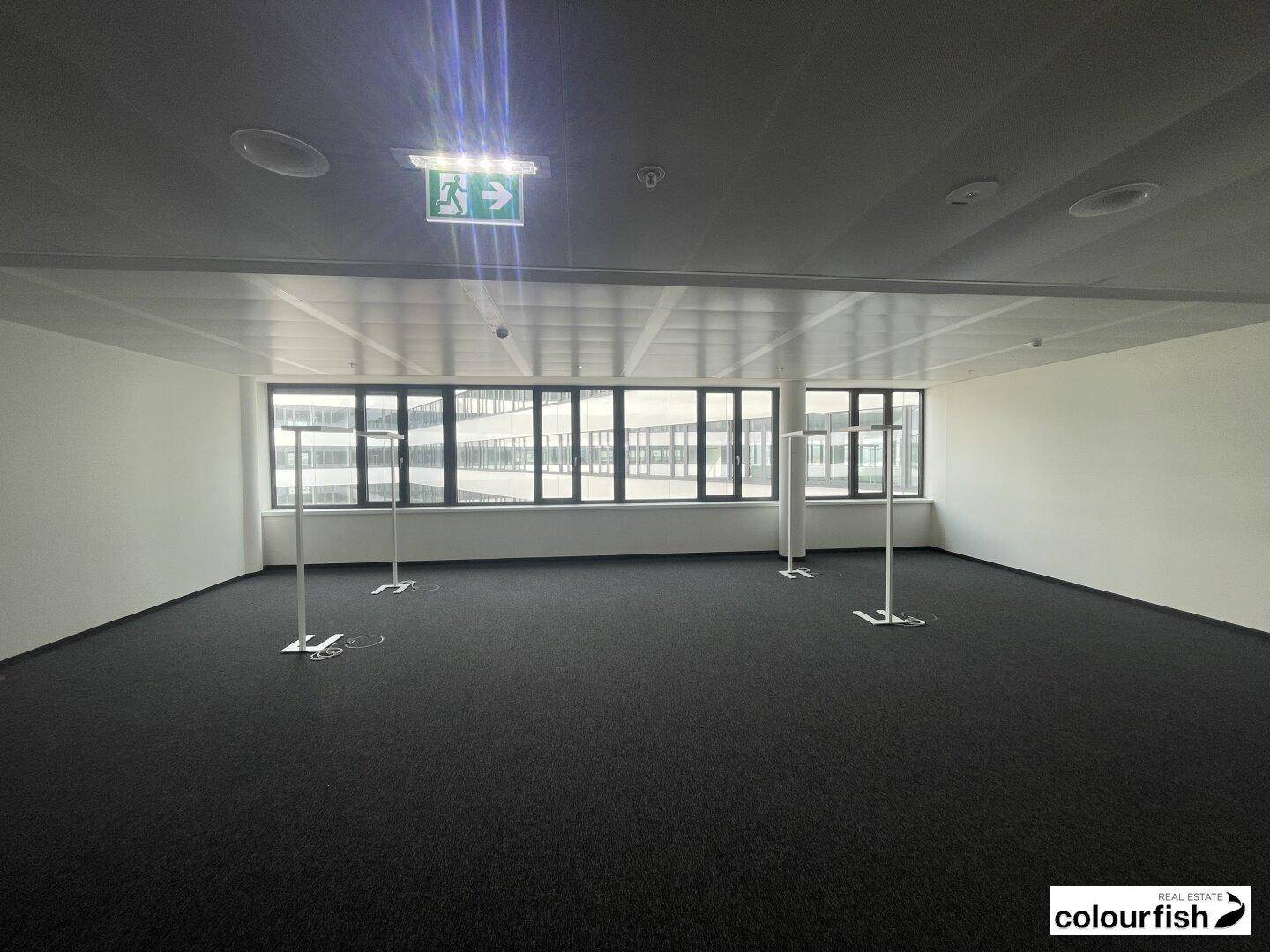 Heller, leerer Bürobereich mit Teppichboden und großen Fenstern, bietet viel natürliches Licht und Ausblick.