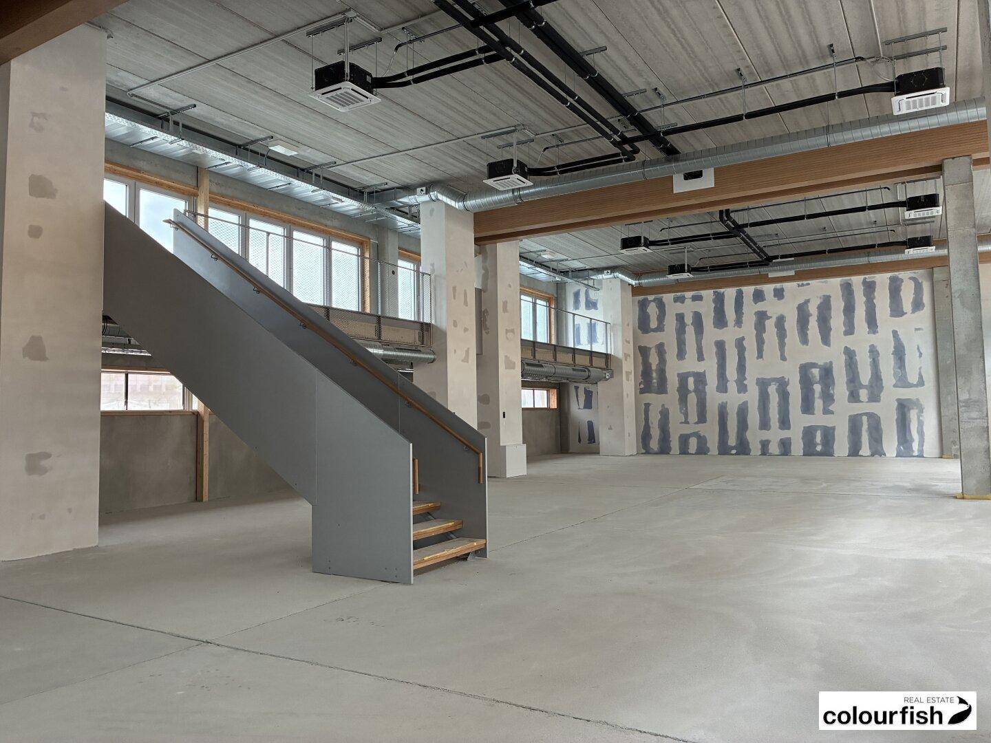 Großer, offener Gewerberaum im Rohbauzustand mit hohen Decken, sichtbaren Installationen und Betonboden.