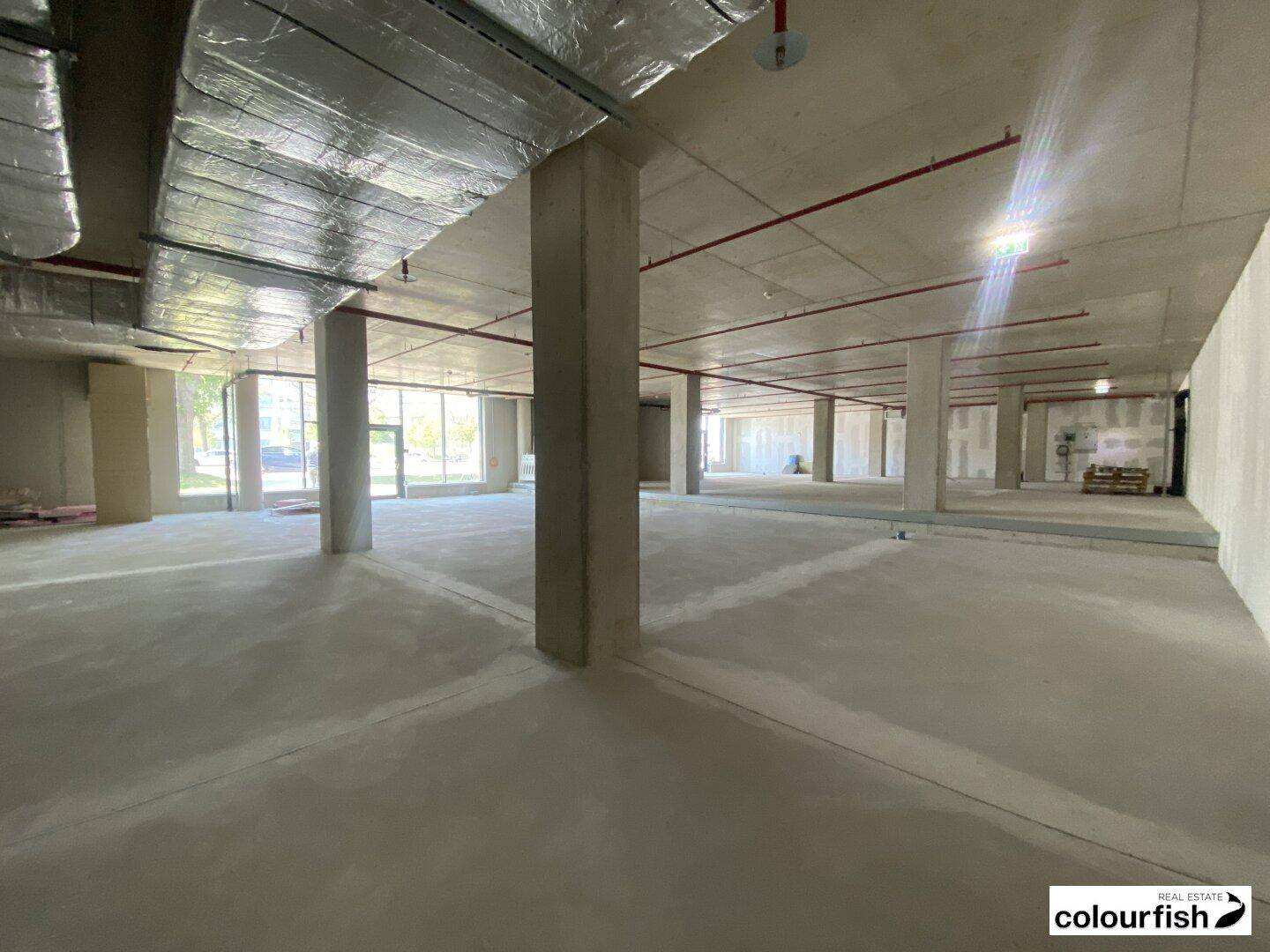 Weitläufiger Gewerberaum mit Betonboden und großen Fensterfronten, bereit für den Innenausbau.