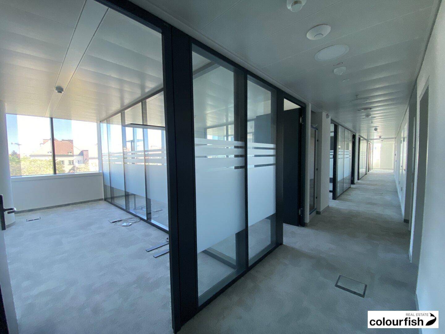 Moderner Bürogang mit Glaswänden und Blick in die angrenzenden Büroräume.