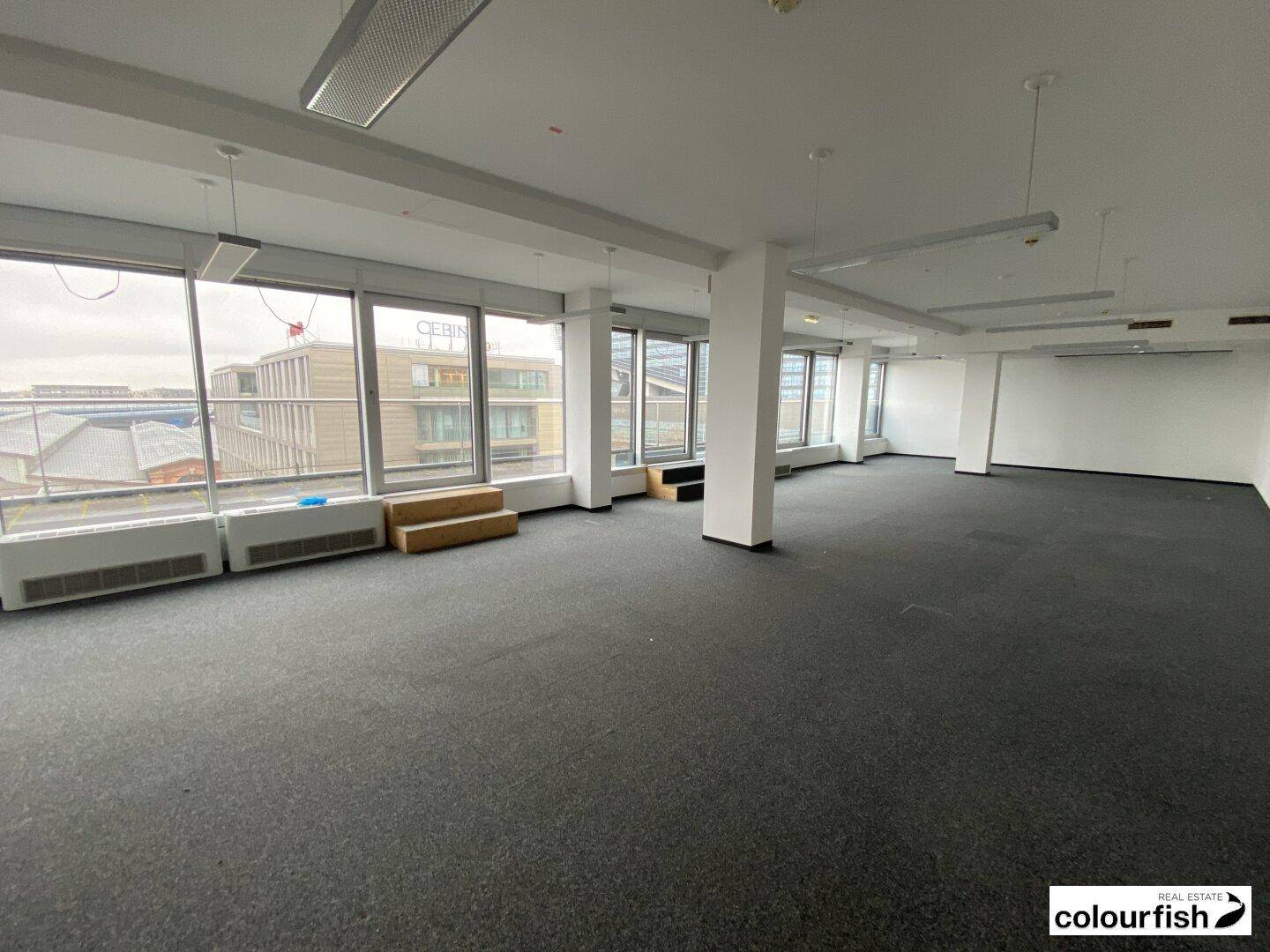 Großer, leerer Büroraum mit Teppichboden und vielen Fenstern, die viel Tageslicht hereinlassen.