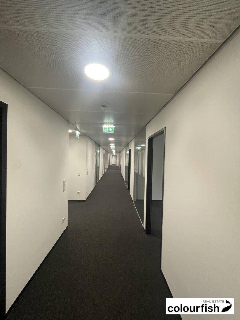 Langer, heller Flur mit Teppichboden und Türen zu den Büroräumen, ausgestattet mit Deckenleuchten und Notausgangsschildern.