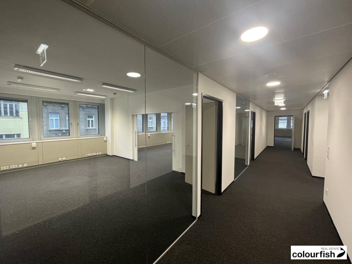 Moderner Bürobereich mit Glaswänden, Teppichboden und Fenstern, die eine offene und helle Arbeitsatmosphäre schaffen.
