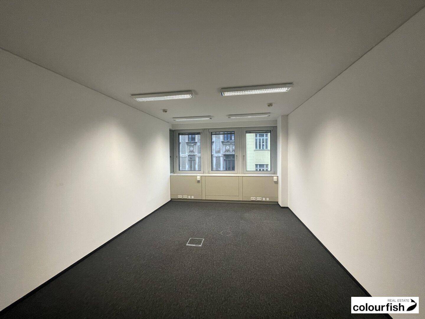 Einzelbüro mit Teppichboden, weißen Wänden und drei Fenstern, die für ausreichend Helligkeit sorgen und eine ruhige Arbeitsumgebung bieten.