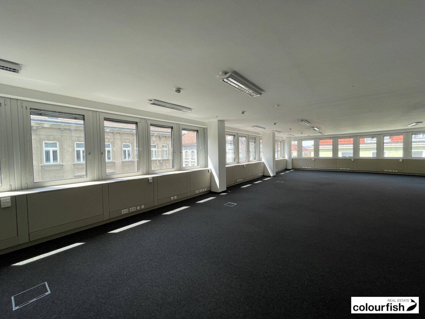 Großes, helles Büro mit Teppichboden und einer langen Fensterfront, die viel Tageslicht hereinlässt und eine offene Atmosphäre schafft.