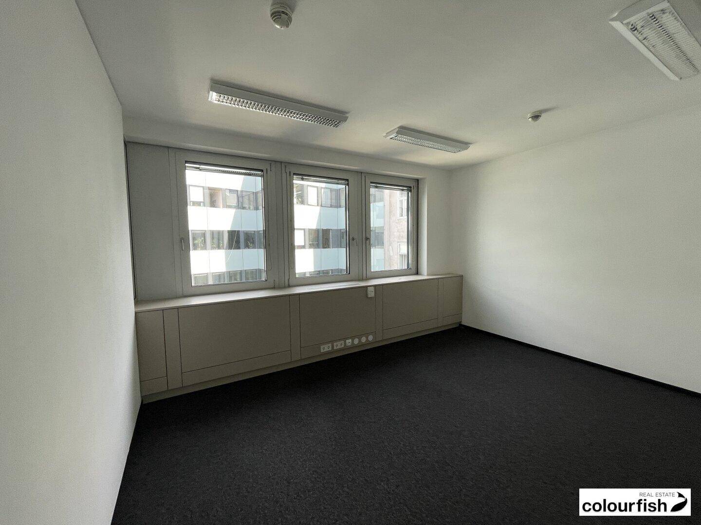 Kompaktes Büro mit Teppichboden, weißen Wänden und einer Fensterfront, die den Raum mit Tageslicht versorgt und eine helle Umgebung bietet.