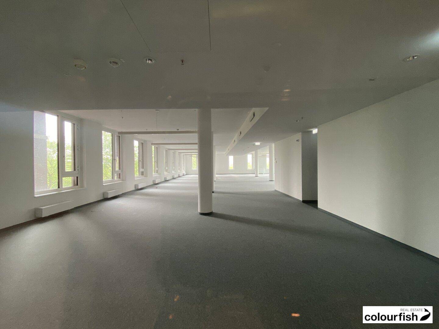 Großer, leerer Büroraum mit vielen Fenstern, grauem Teppichboden und weißen Wänden.