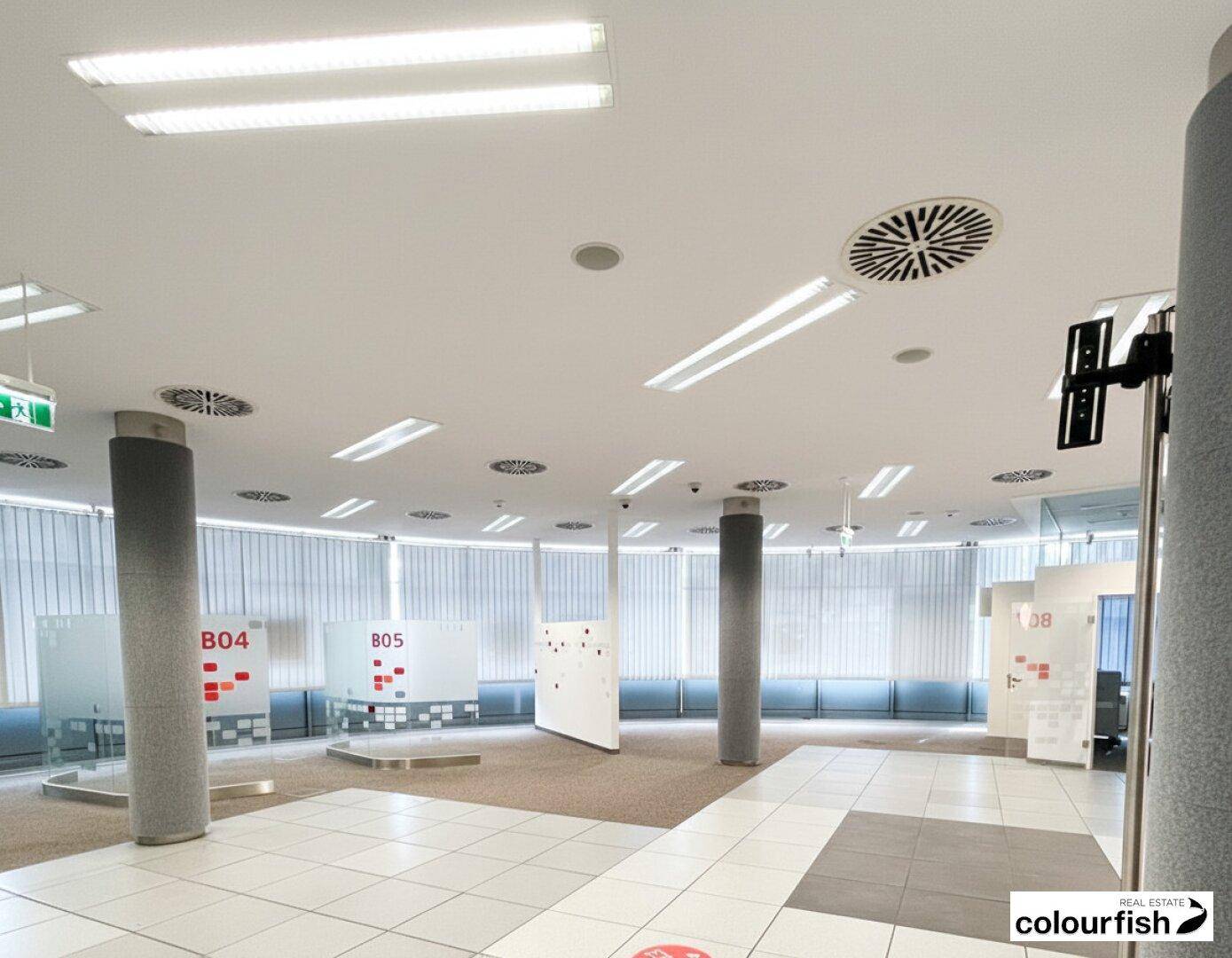 Heller Bürobereich mit großen Fenstern, Teppichboden und modernen Deckenleuchten.