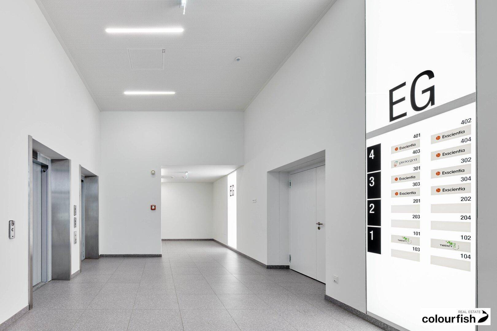 Heller, moderner Flur in einem Bürogebäude mit Aufzügen und digitaler Etagenanzeige.