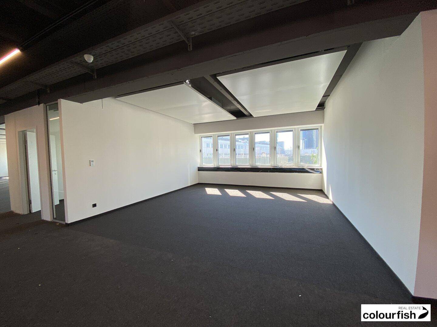Heller Büroraum mit dunklem Teppichboden, hohen Decken und großen Fenstern, die viel Tageslicht hereinlassen.