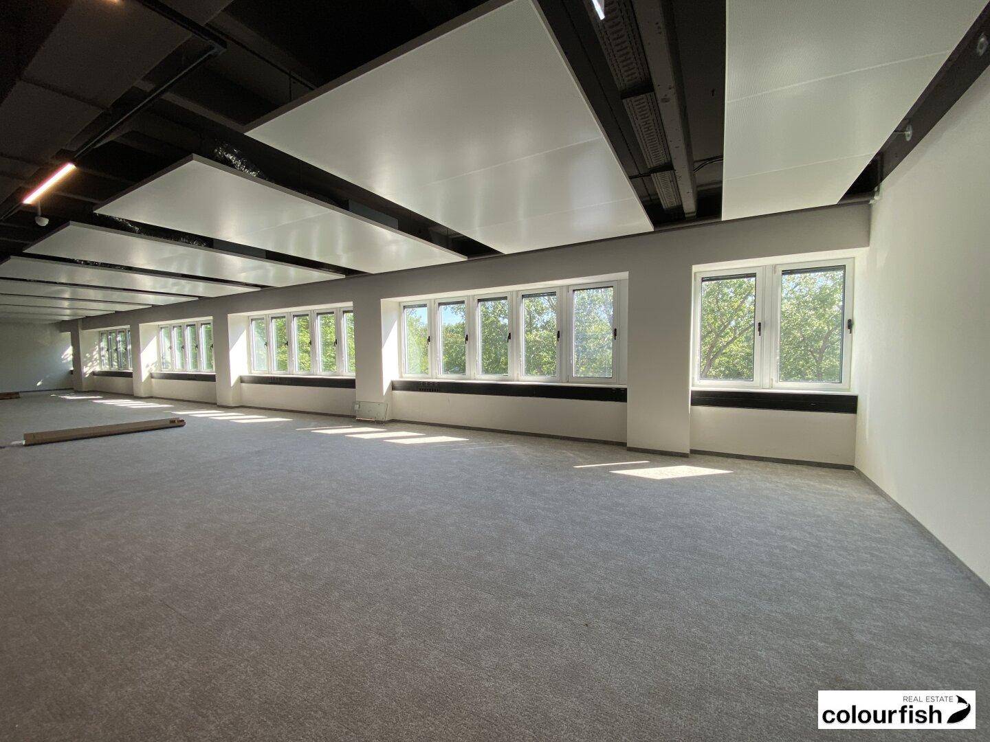 Großer, offener Büroraum mit hellem Teppichboden, hohen Decken und einer Fensterfront, die den Raum mit Licht füllt.