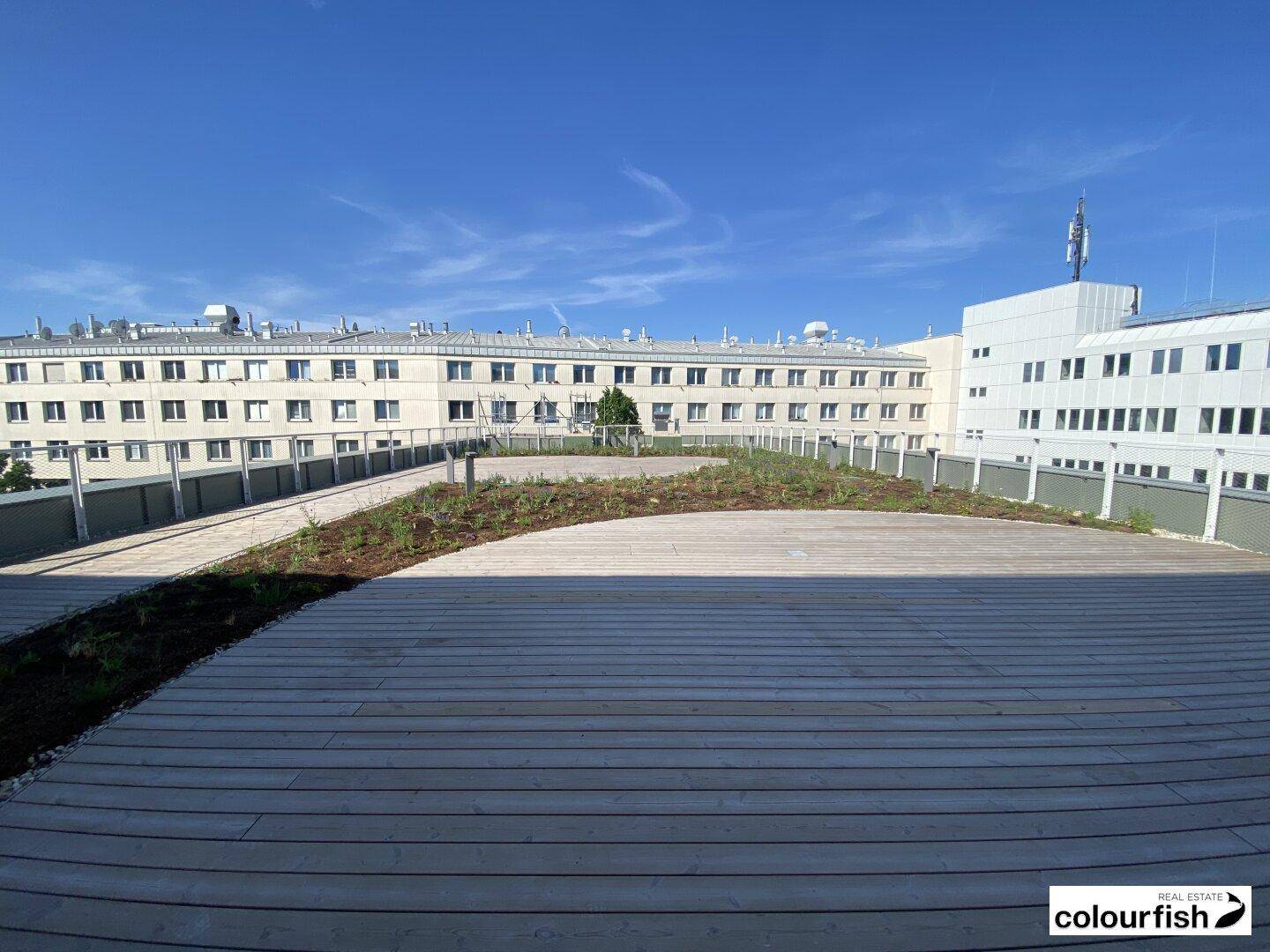 Dachterrasse mit Holzbelag und Grünflächen, bietet einen weiten Blick über die umliegenden Gebäude.