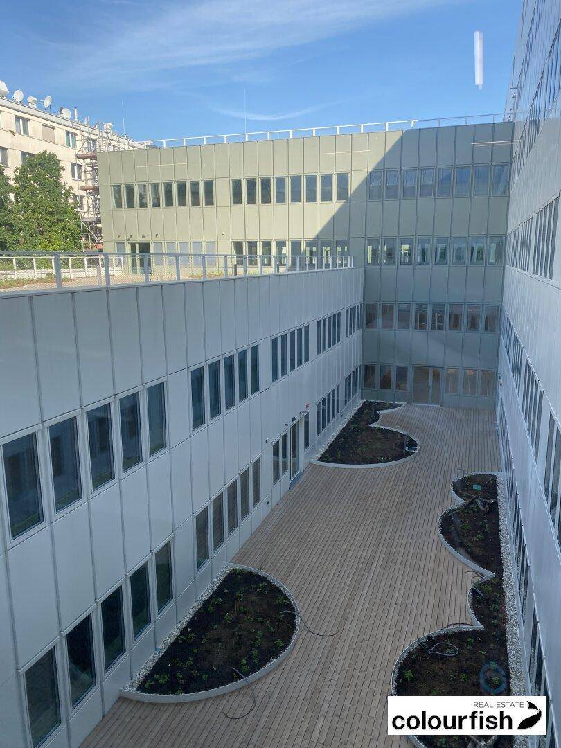 Innenhof eines modernen Gebäudes mit gepflastertem Bereich und geschwungenen Grünbeeten, umgeben von Fensterfronten.
