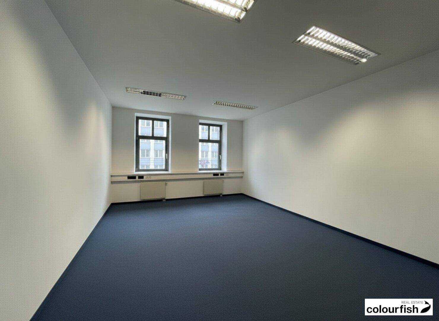 Leerer Büroraum mit zwei Fenstern, weiß gestrichenen Wänden und blauem Teppichboden.