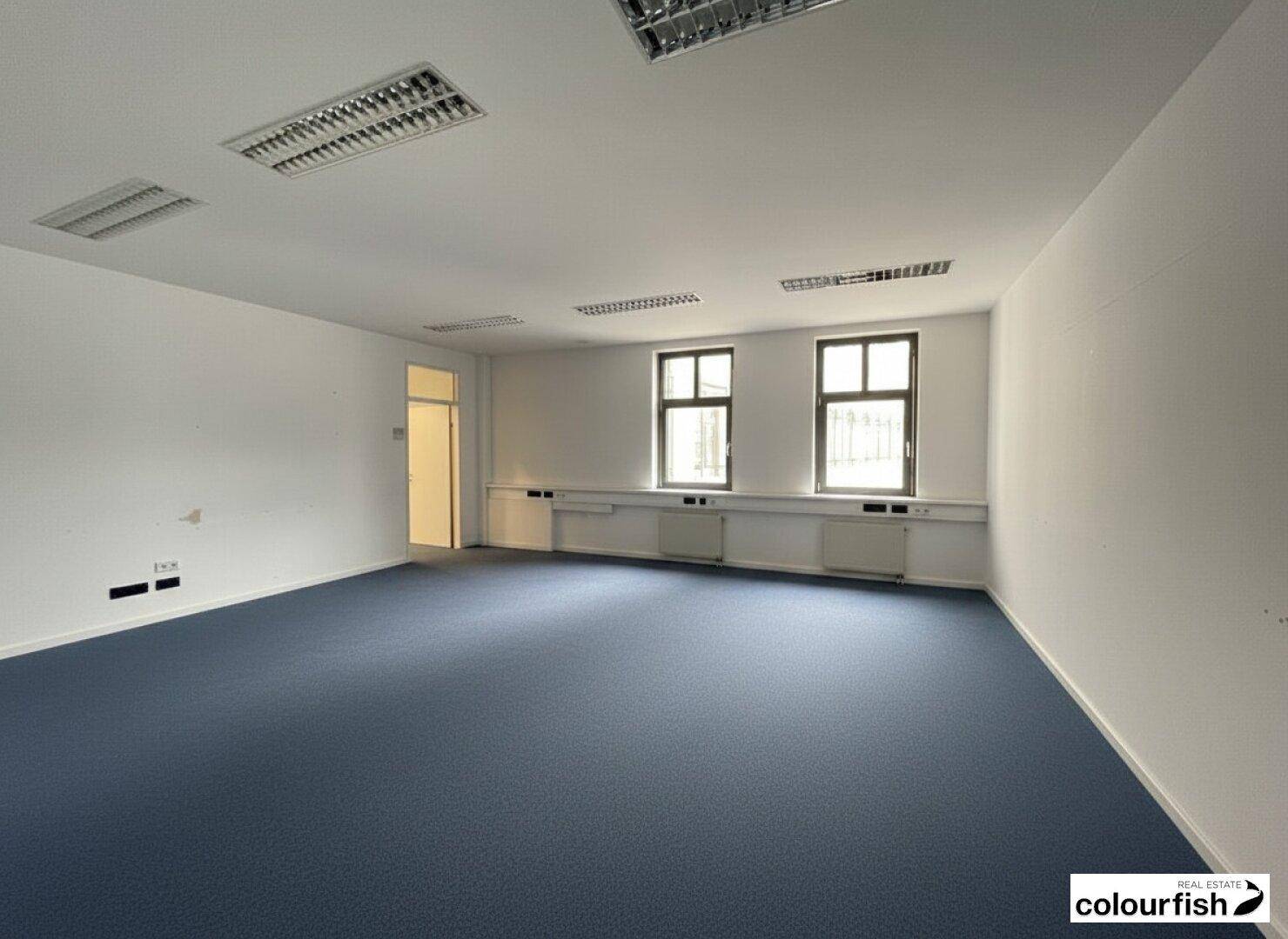 Geräumiger Büroraum mit blauem Teppichboden, weißen Wänden und zwei Fenstern mit Stadtblick.