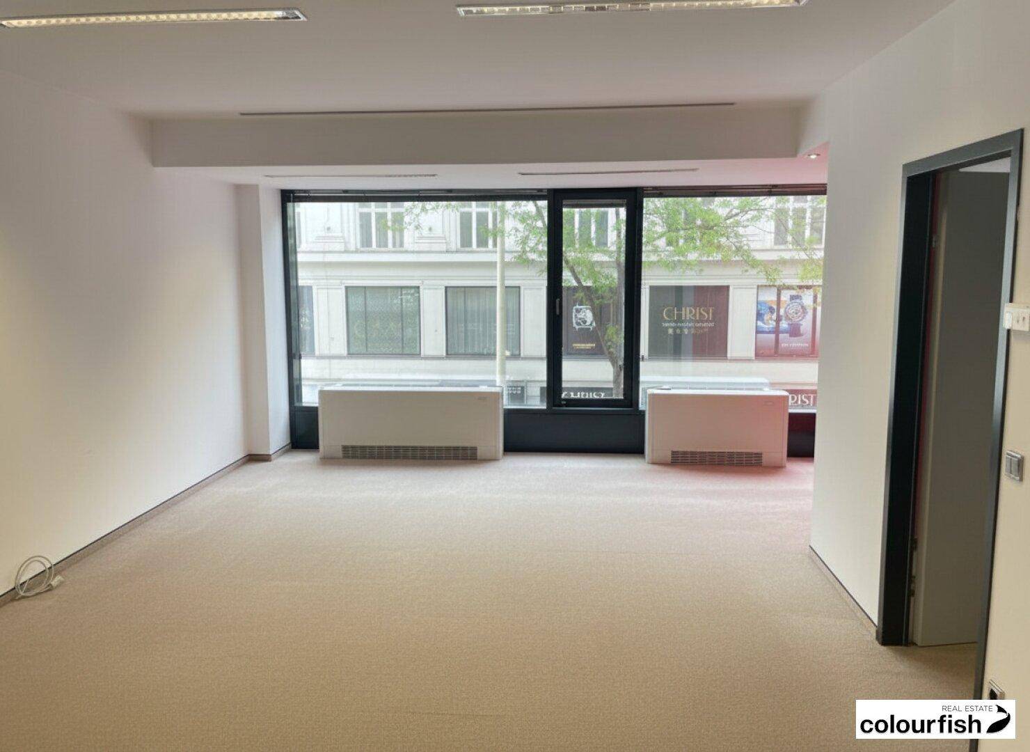 Heller Büroraum mit großen Fenstern zur Straße, Teppichboden und Klimaanlage, ideal für gewerbliche Nutzung.