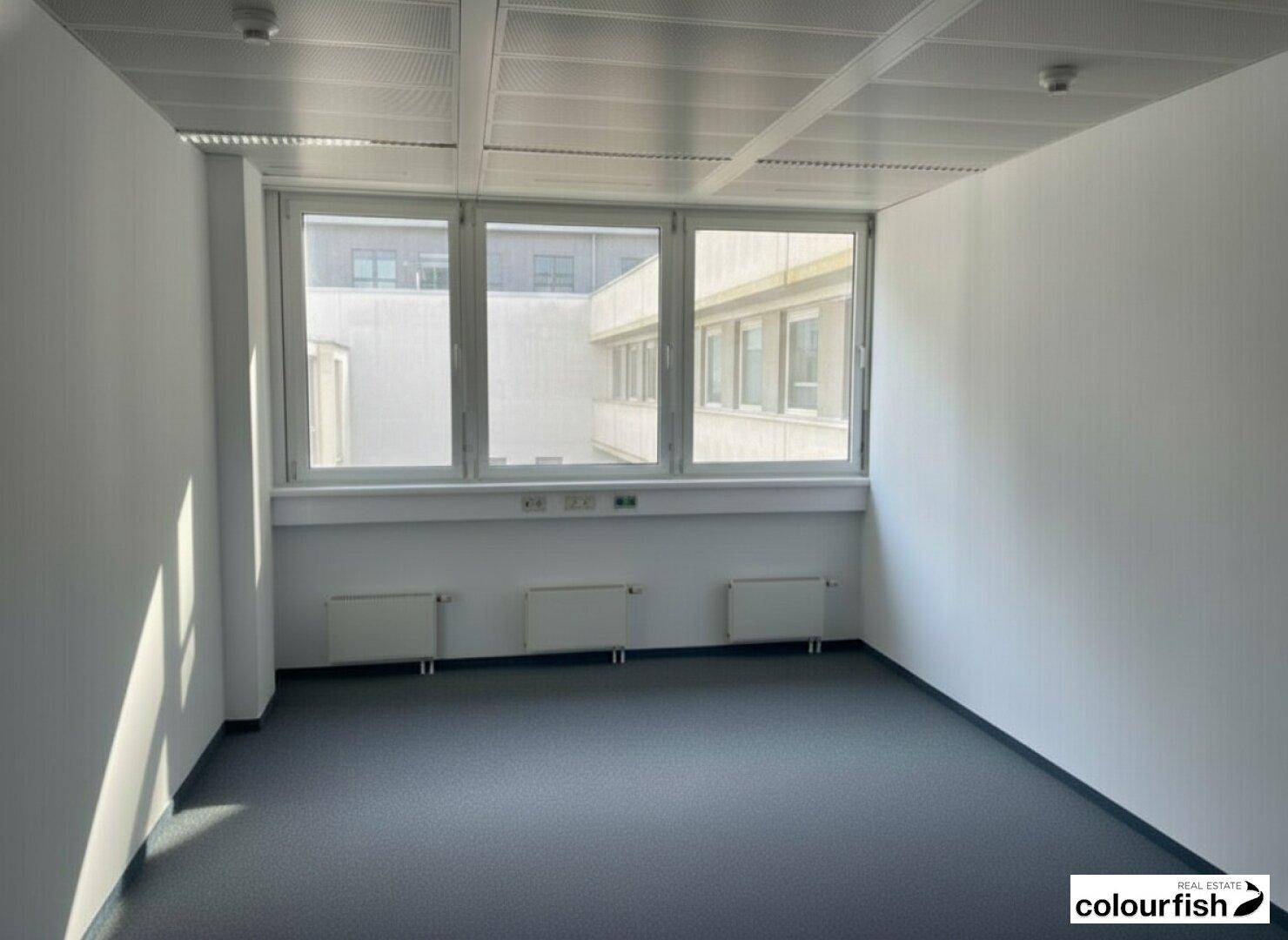 Helles, leeres Büro mit großen Fenstern, Teppichboden und Heizkörpern unter der Fensterbank.