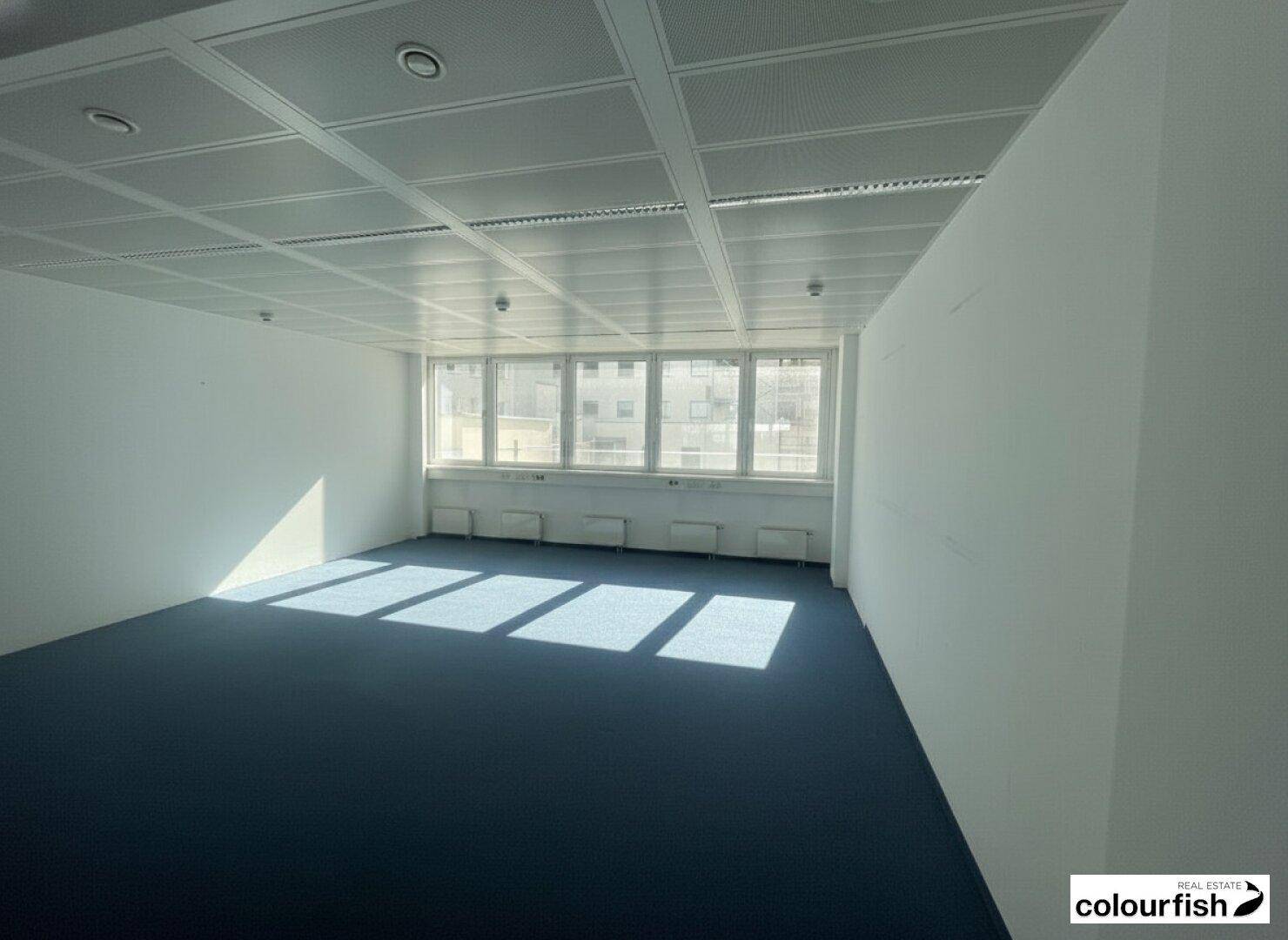Leeres Büro mit blauer Teppichauslage, großen Fenstern und einer hellen, funktionalen Deckenbeleuchtung.