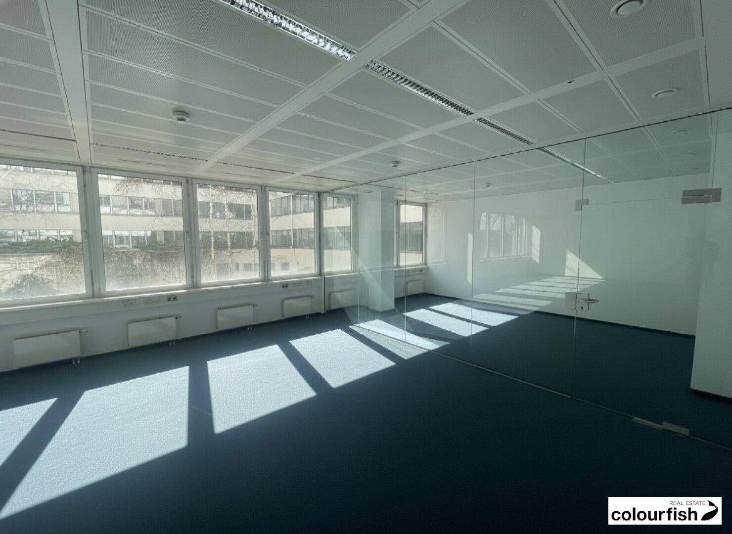 Modernes Büro mit Glaswand, blauem Teppichboden und reichlich natürlichem Lichteinfall durch die Fensterfront.