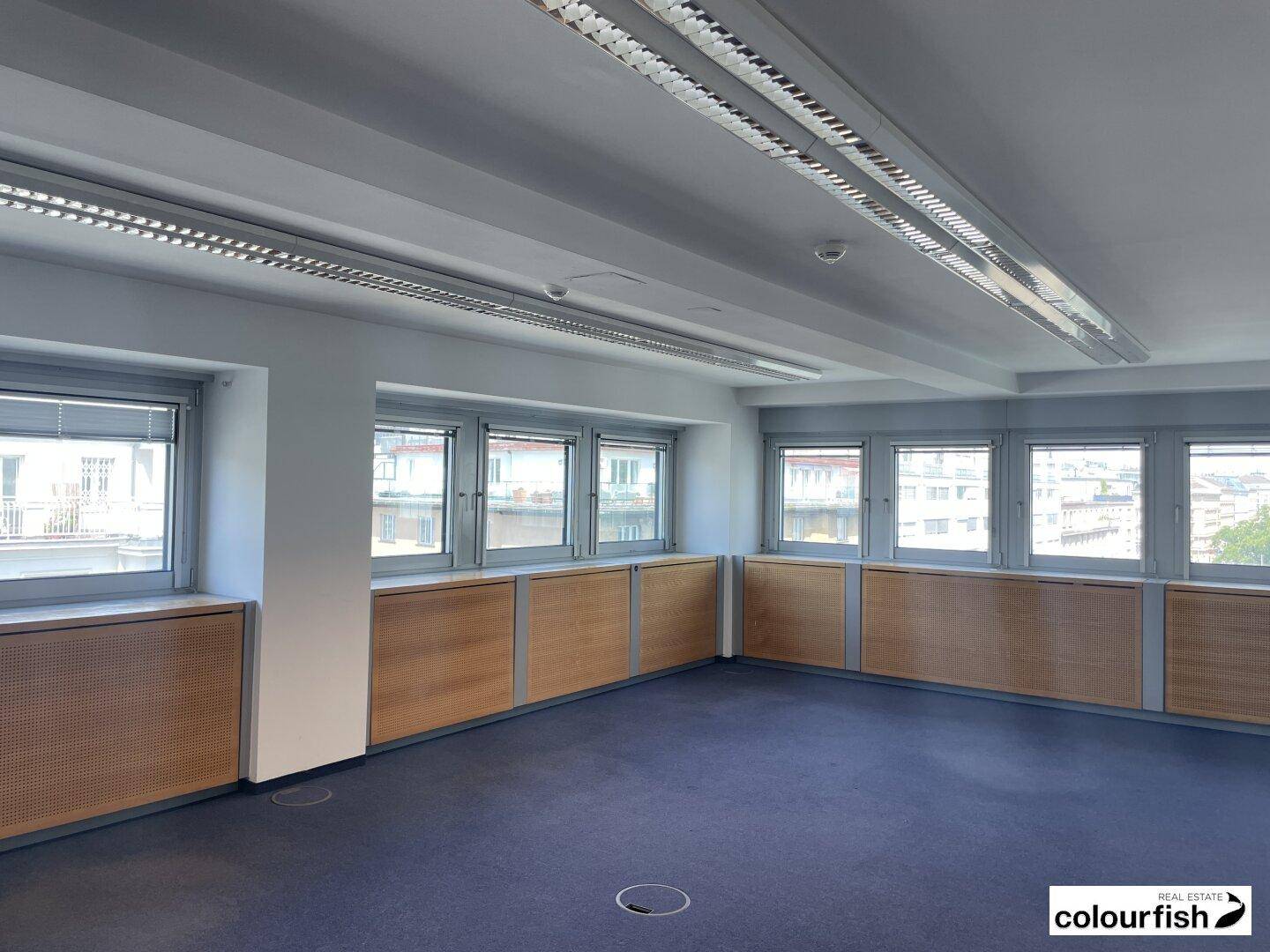 Geräumiges Büro mit blauem Teppichboden, Holzvertäfelung und vielen Fenstern für natürliches Licht.