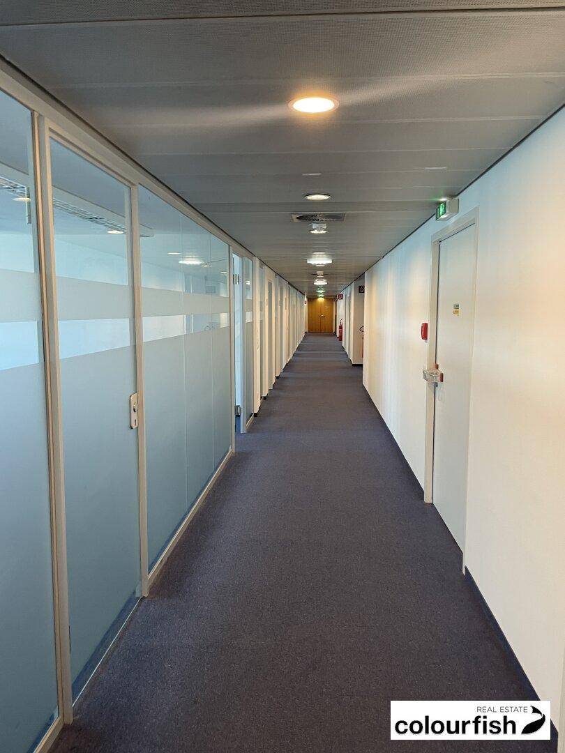 Langer Bürogang mit Teppichboden, Glastrennwänden und Deckenbeleuchtung, der zu weiteren Büros führt.