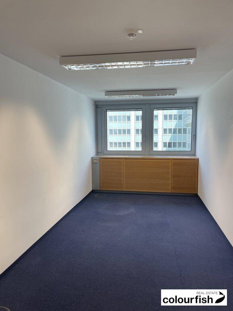 Kleines Büro mit blauem Teppichboden, Holzvertäfelung unter dem Fenster und Deckenbeleuchtung.