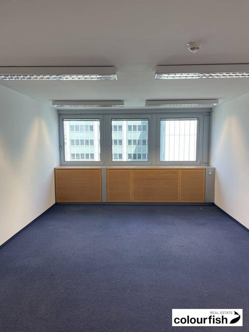 Helles Büro mit blauem Teppichboden, Holzvertäfelung und drei Fenstern mit Blick auf andere Gebäude.