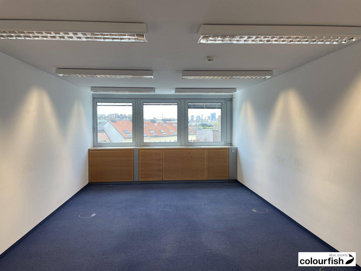 Leeres Büro mit blauem Teppichboden, weißen Wänden und Fenstern, die viel Tageslicht hereinlassen.