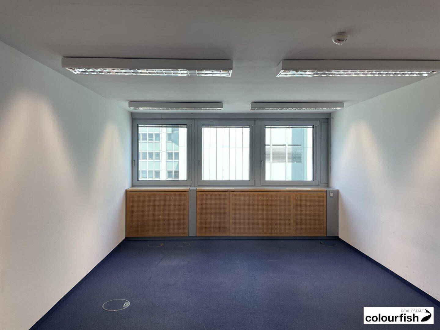 Büro mit blauem Teppichboden und Fenstern, die einen Blick auf die umliegenden Gebäude bieten.