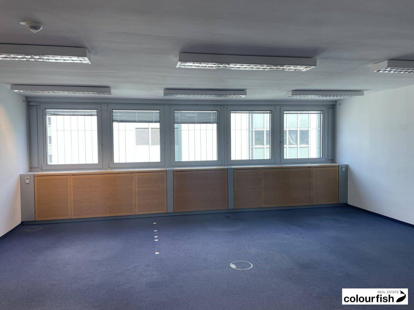 Großes Büro mit blauem Teppichboden, Holzvertäfelung unter den Fenstern und Deckenbeleuchtung.