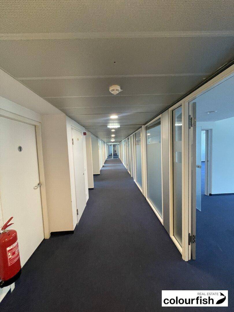 Langer Bürogang mit Teppichboden, weißen Türen und Glastrennwänden, die zu den Büros führen.