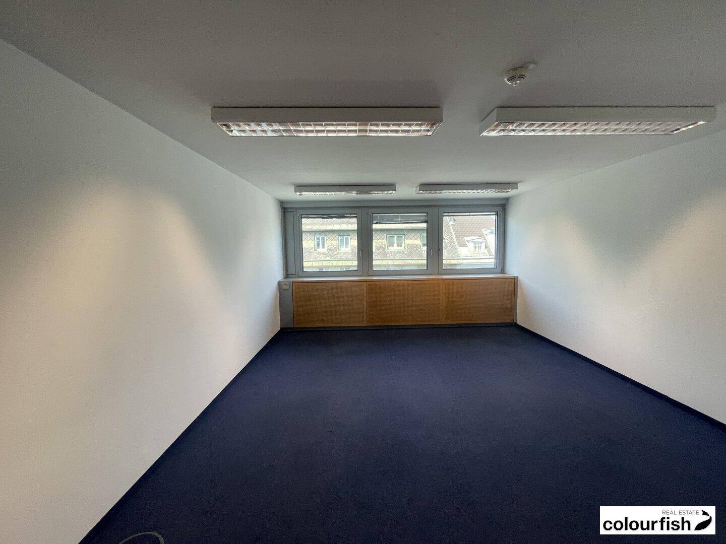 Büro mit blauem Teppichboden, weißen Wänden und Fenstern, die einen Blick auf die Stadt ermöglichen.