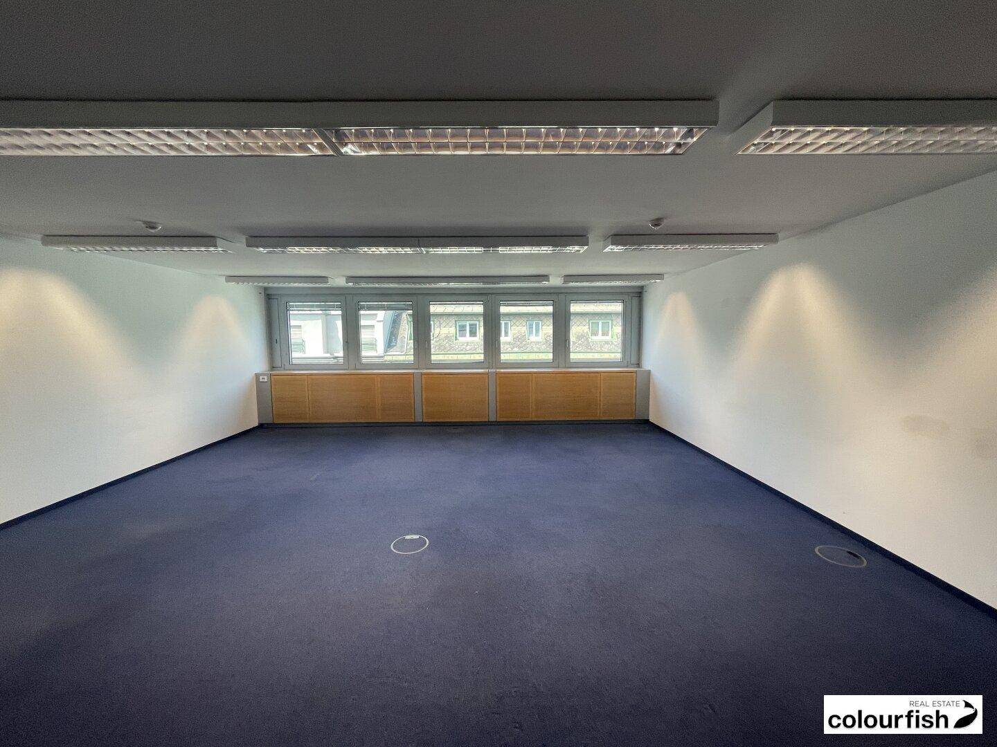 Geräumiges Büro mit blauem Teppichboden, weißen Wänden und mehreren Fenstern für viel Tageslicht.