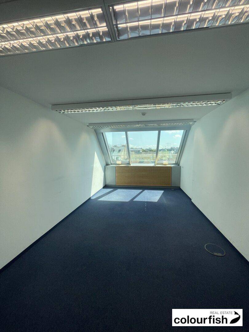Büro im Dachgeschoss mit schrägen Fenstern, blauem Teppichboden und viel natürlichem Licht.
