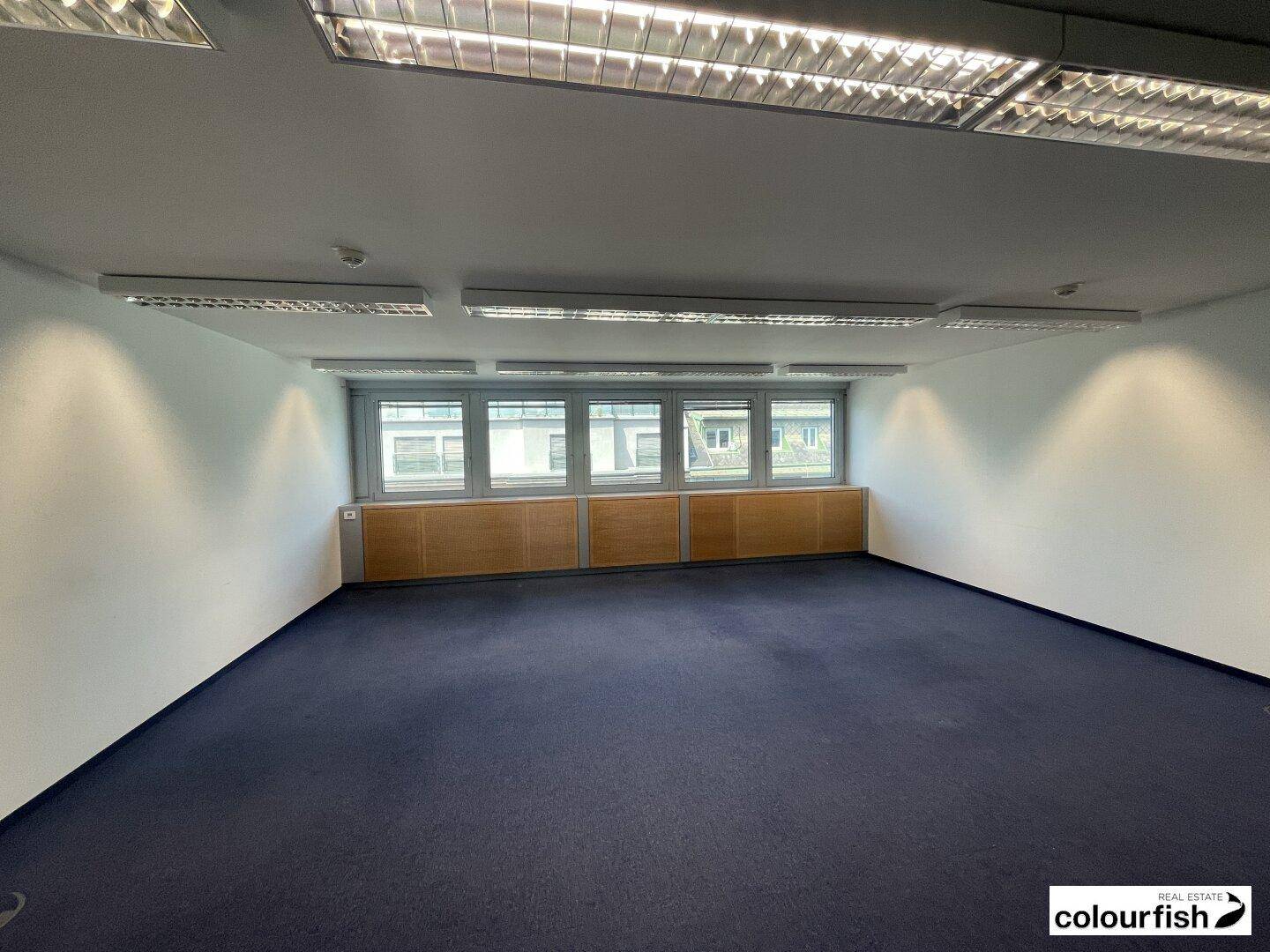 Büro mit blauem Teppichboden, weißen Wänden und Fenstern, die einen weiten Blick über die Stadt bieten.