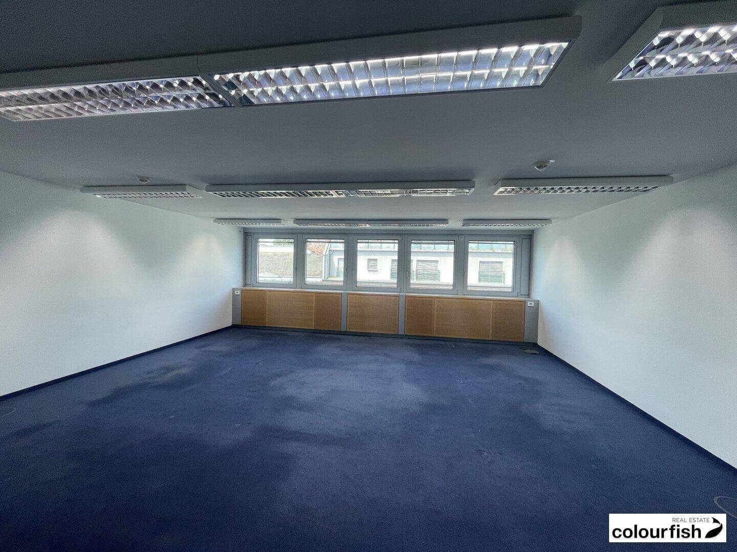 Großes Büro mit blauem Teppichboden, weißen Wänden und Fenstern, die viel natürliches Licht hereinlassen.