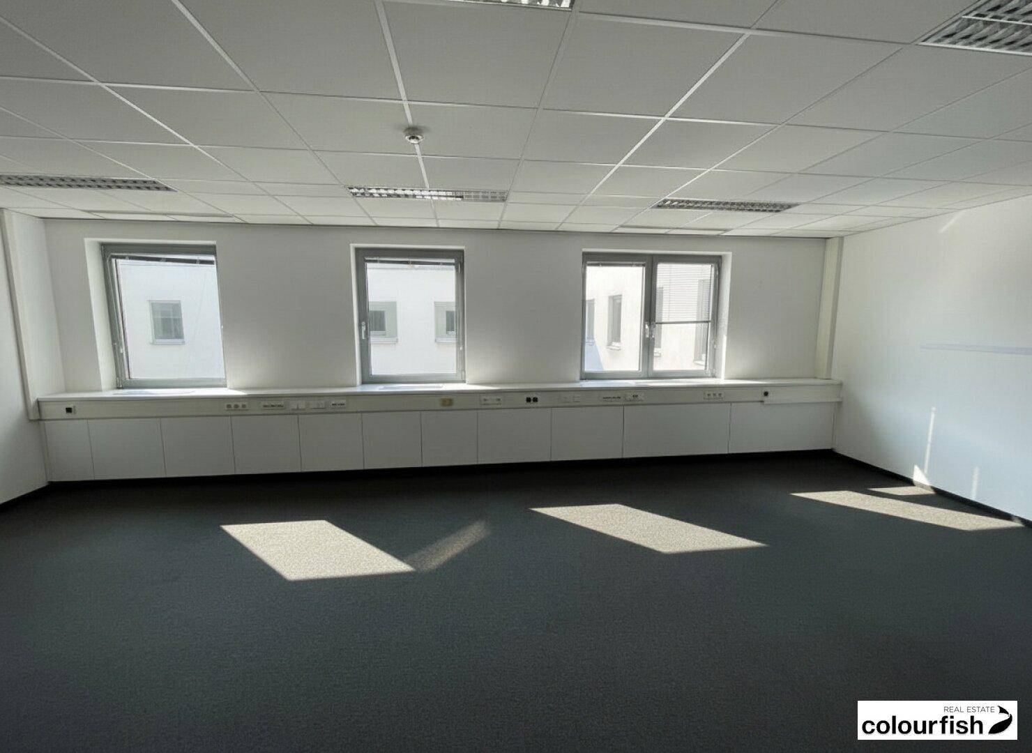 Leeres Büro mit Teppichboden und weißen Wänden, durchflutet von Sonnenlicht durch die Fenster.
