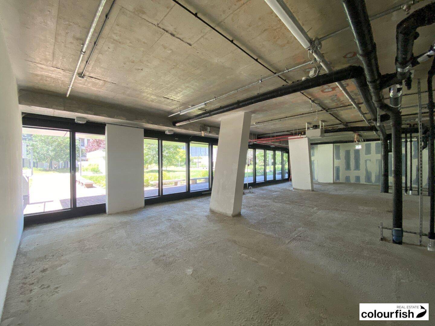 Unfertiger Gewerberaum mit Betonboden und -decke, sichtbaren Rohren und großen Fenstern mit Blick ins Grüne.