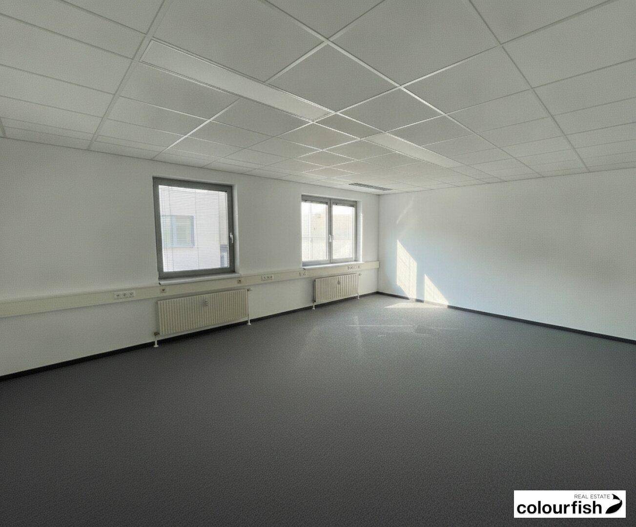 Geräumiger Bürobereich mit mehreren Fenstern und Teppichboden.