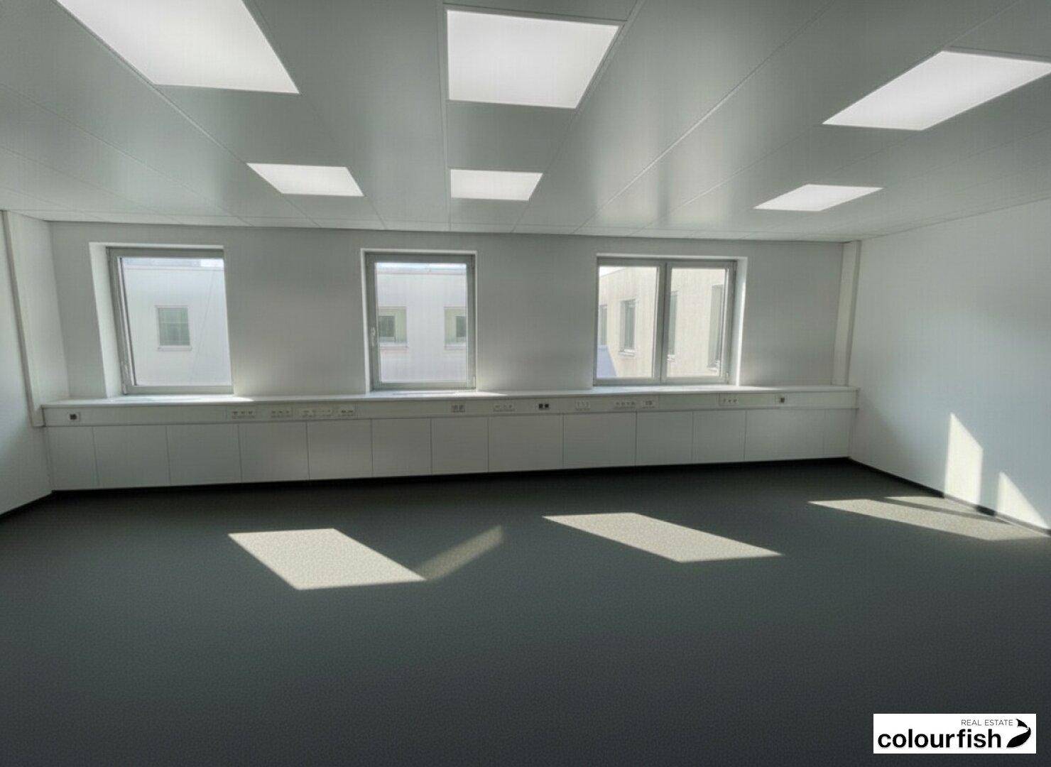 Großes Büro mit mehreren Fenstern, Einbauschränken und Deckenbeleuchtung.