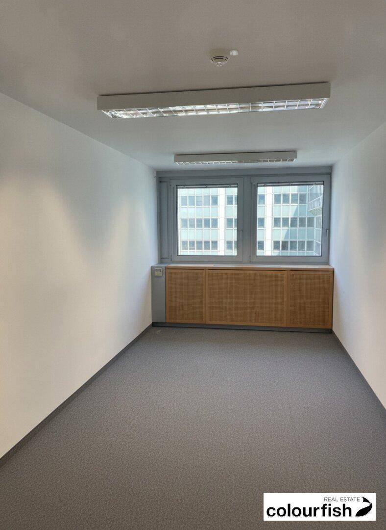 Helles, leeres Büro mit zwei Fenstern, Einbauschrank und Teppichboden, bietet Blick auf moderne Gebäude.