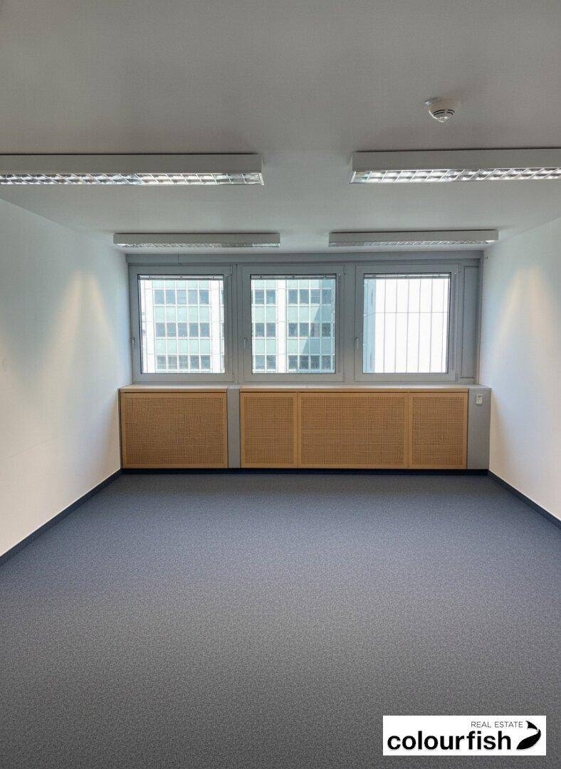 Leeres Büro mit drei Fenstern, integrierten Schränken und Teppichboden, ideal für konzentriertes Arbeiten.
