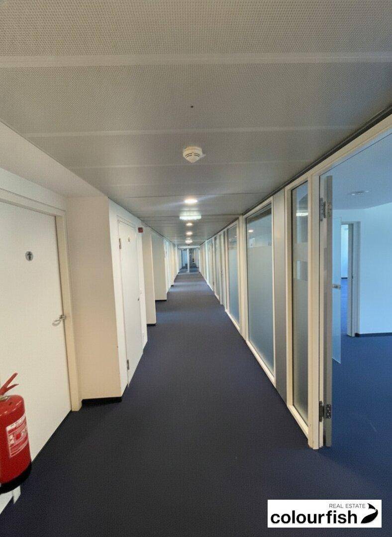 Langer Flur mit Teppichboden, vielen Türen und Büros mit Glaswänden, gut beleuchtet.